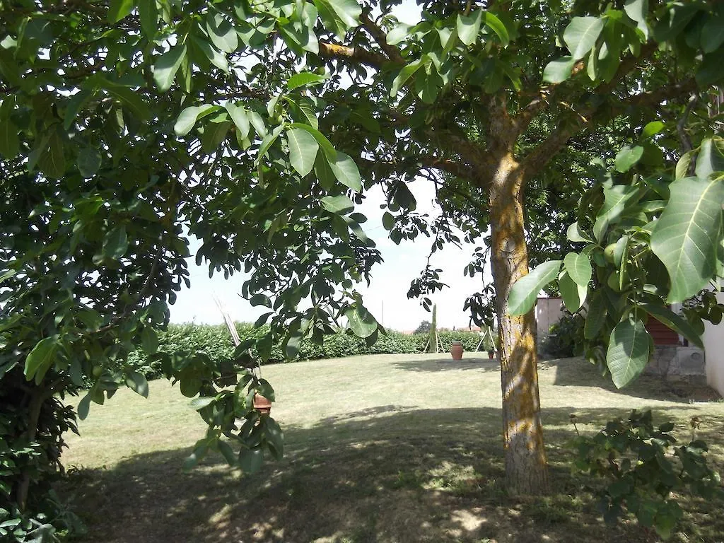 Cerbaia Agriturismo Le Caselle איטליה